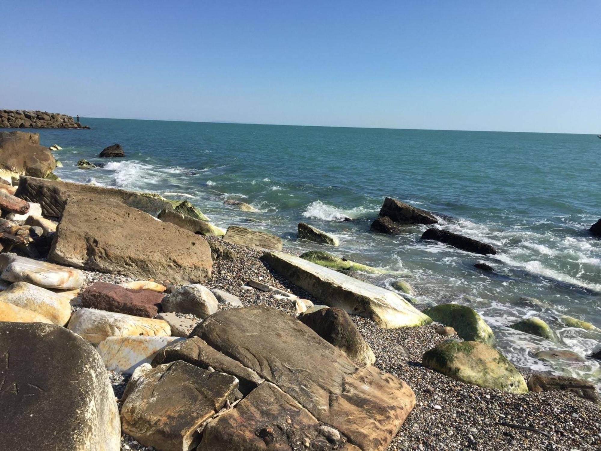 Amazing Near Pet Friendly * Carrara