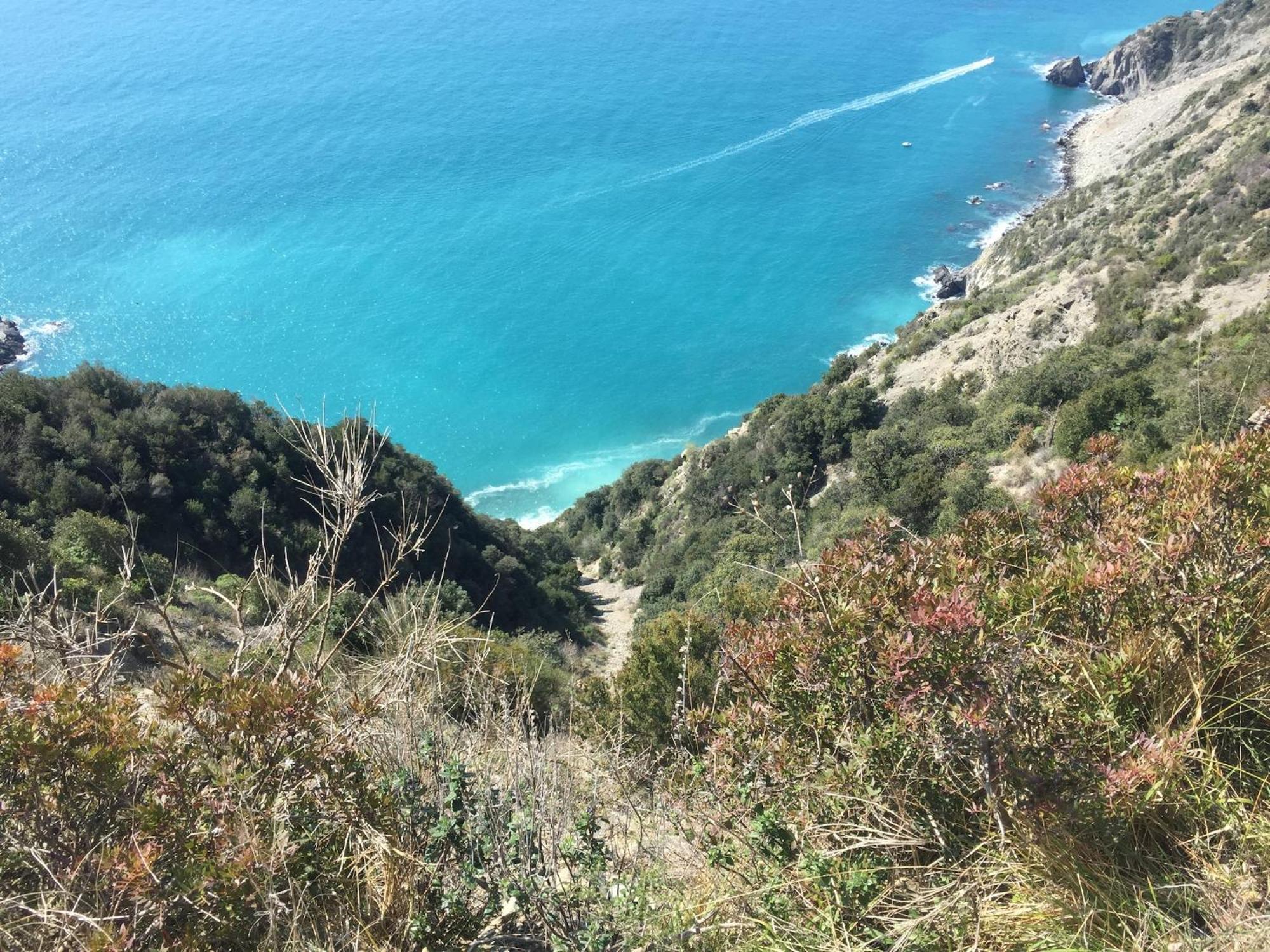 Amazing Near Pet Friendly Vakantiehuis