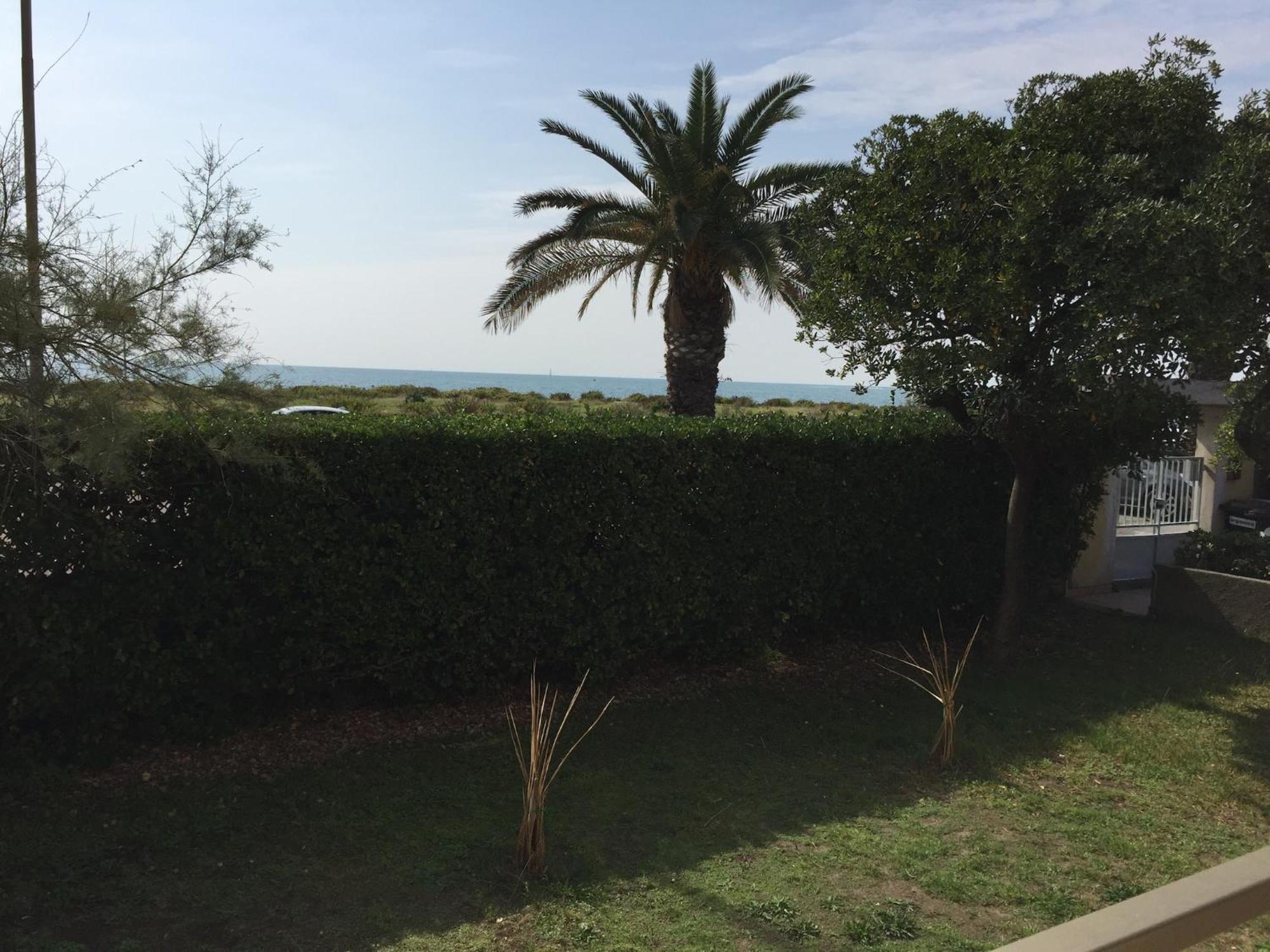 Amazing Near Pet Friendly Carrara